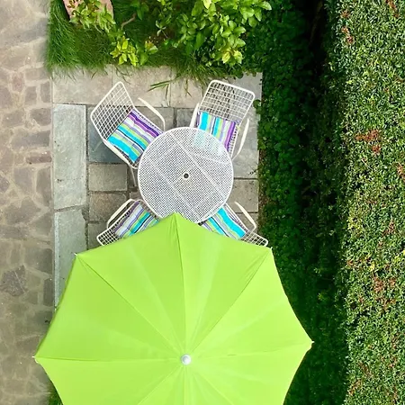 The Olive Tree Vacation In * Colico