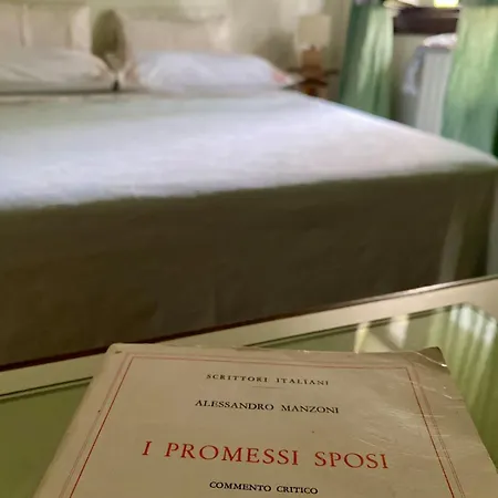 The Olive Tree Vacation In Apartment