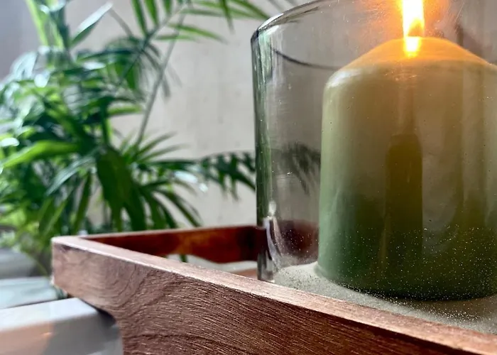 The Olive Tree Vacation In *