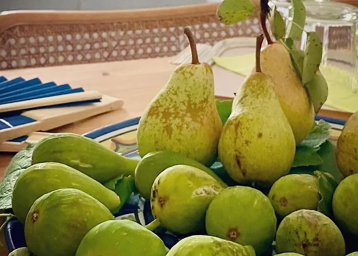 The Olive Tree Vacation In Apartment *