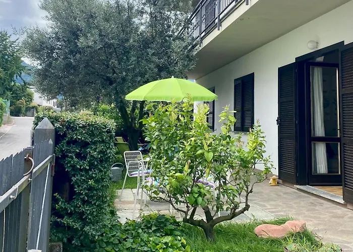 The Olive Tree Vacation In