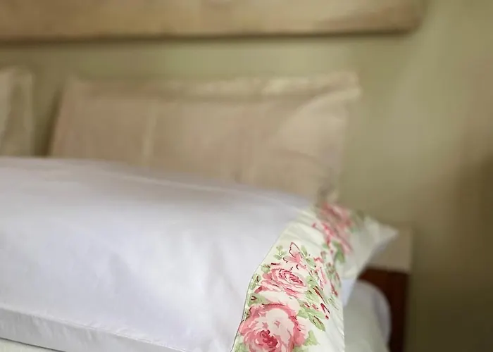 The Olive Tree Vacation In *