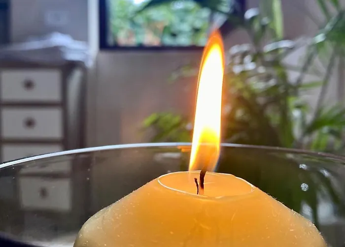 Apartment The Olive Tree Vacation In