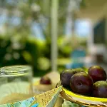 The Olive Tree Vacation In كوليكو