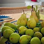 The Olive Tree Vacation In شقة *