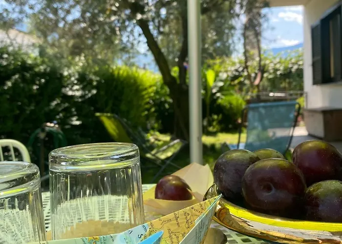 The Olive Tree Vacation In Appartement *