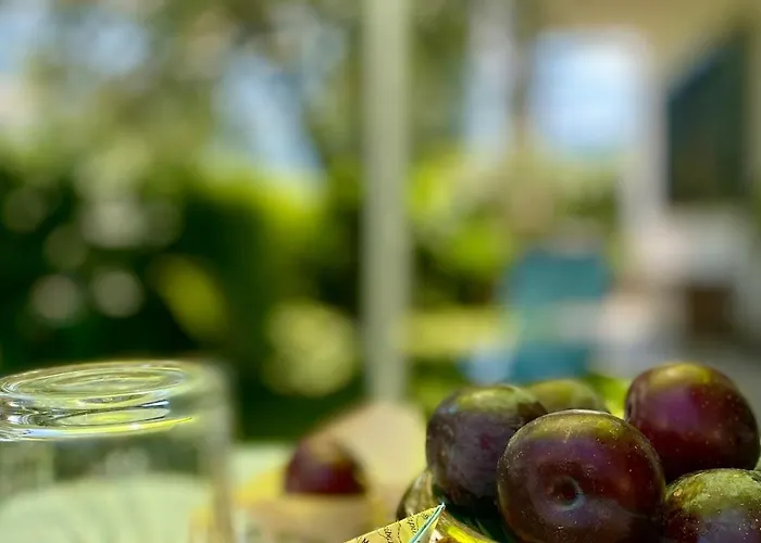 The Olive Tree Vacation In Colico