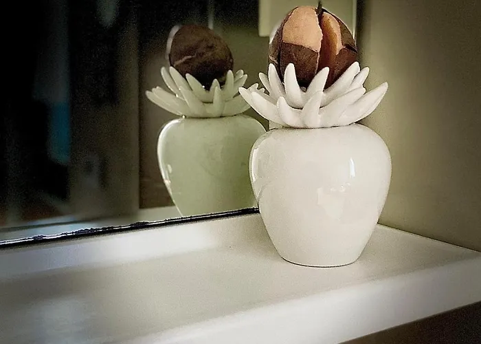 The Olive Tree Vacation In Colico