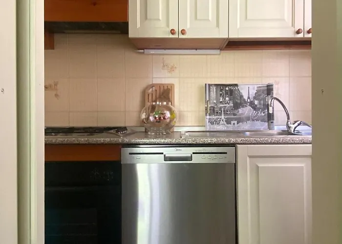 The Olive Tree Vacation In *