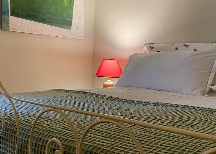 The Olive Tree Vacation In *