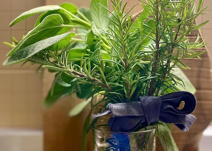 The Olive Tree Vacation In Apartman