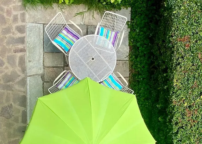 The Olive Tree Vacation In * Colico